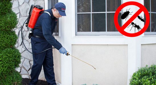 Selçuk Hamam Böceği İlaçlama böcek ilaçlama ve haşere kontrolü — ilaclama-tr.com